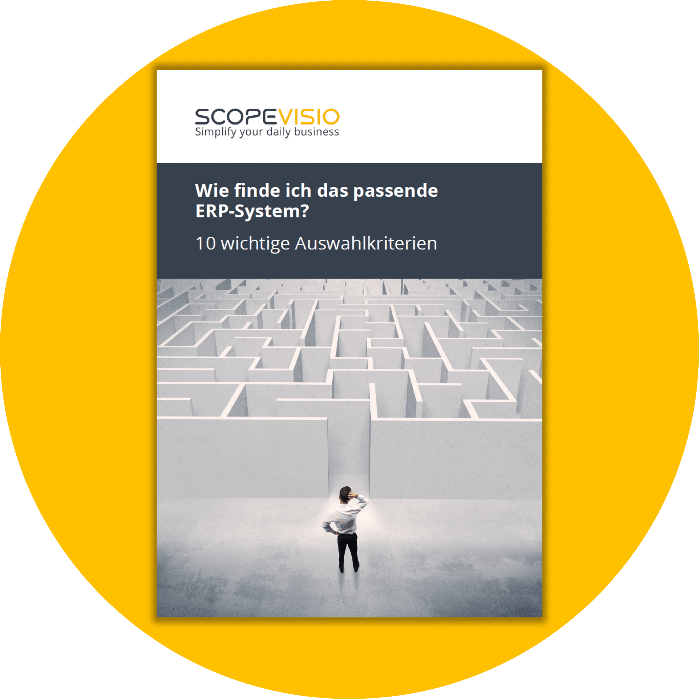 whitepaper-wie-finde-ich-das-passende-erp-system-transparent