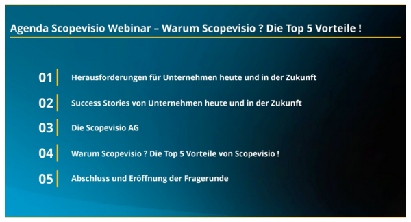 Screenshot Webinar Finanzberichte